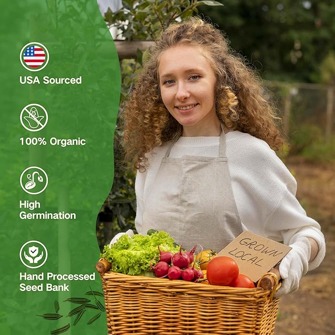 Lush&Dew Raised Garden Bed Heirloom Seed Bank, 32 Varieties 30,000+ Non-GMO Seeds for Planting Vegetables Herbs Fruits Year-Round, Gardening Gifts for Women Men, Survival Seed Kit for Food Suppies