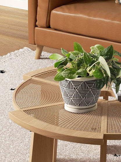 LE TAUCI 5.5 Inch Boho Plant Pots Indoor, Artisanal Cement Pots for Plants, Succulent Pots with Drainage Holes and Saucers, Planters for Indoor Plants, Set of 2, Black and Cream White