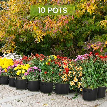 Grow Bags 10Pcs Heavy Duty 300G Fabric Pots for Plants,Thickened Nonwoven Garden Bags to Grow Vegetables,Large Nursery Pots,Tomato Grow Bags with Handles, Green Line Border (10 Gallons)