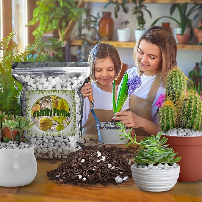 Organic Chunky Perlite for Plants (0.4"-0.8" in Diameter), Natural Horticultural Soil Additive Conditioner Mix, Improve Drainage and Ventilation, Enhance Soil Health and Root Growth (10 Quarts)