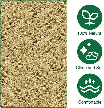 ZeeDix 20L Premium Sphagnum Moss for Plants Indoor, New Zealand Sphagnum Moss for Orchid Potting Mix Terrarium Succulent Carnivorous Ferns Hosta Garden & Reptile Habitat