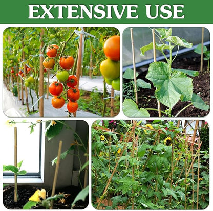 Plant Stakes,25Pcs Bamboo Stakes,3 FT Natural Bamboo Plant Support Stakes,Bamboo Stakes for Indoor and Outdoor Plants Tomatoes Beans Flowers Potted Plants Climbing Support