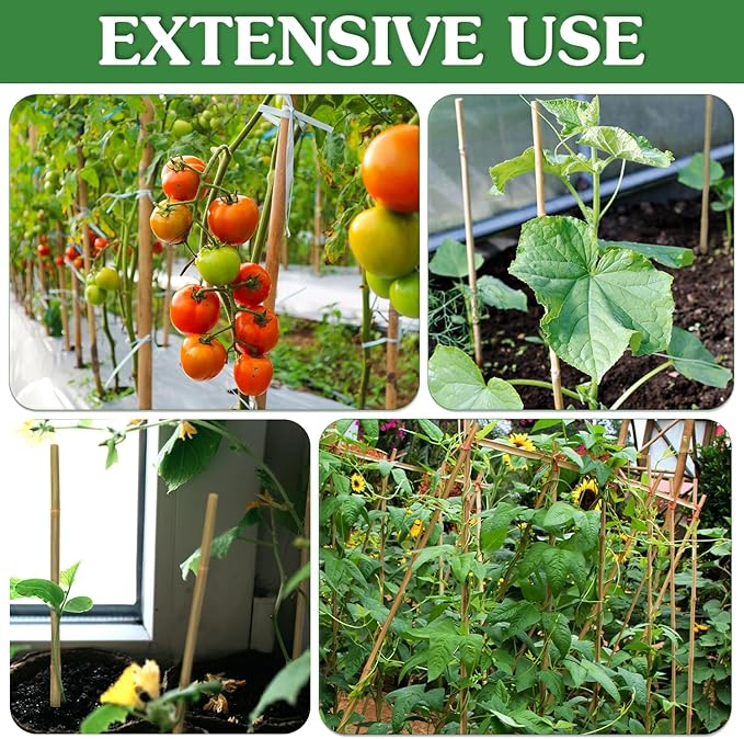 Plant Stakes,20Pcs Bamboo Stakes,18 Inches Natural Bamboo Plant Support Stakes,Bamboo Stakes for Indoor and Outdoor Plants Tomatoes Beans Flowers Potted Plants Climbing Support