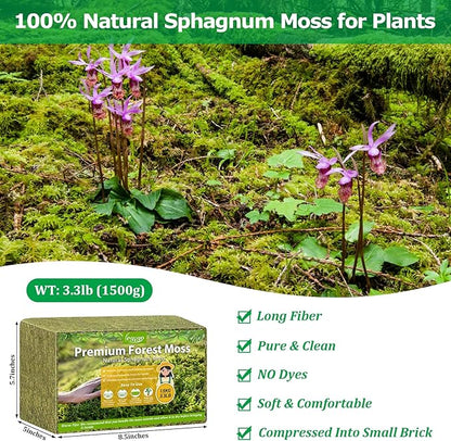 Legigo 3.3LBS Sphagnum Moss for Plants, 60QT Natural Orchid Moss Potting Mix Dired, Green Forest Plant Moss for Orchid Repotting Carnivorous Succulents Indoor Potted Plants Gardening and Reptiles