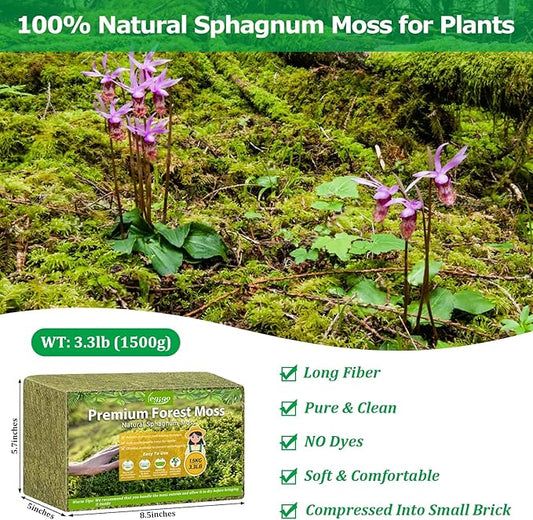 Legigo 3.3LBS Sphagnum Moss for Plants, 60QT Natural Orchid Moss Potting Mix Dired, Green Forest Plant Moss for Orchid Repotting Carnivorous Succulents Indoor Potted Plants Gardening and Reptiles