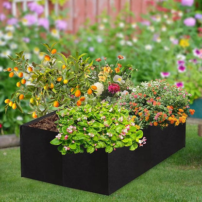 2 Pack 2x2x1Ft 30 Gallons Fabric Raised Garden Bed,Garden Grow Bed,Raised Beds for Gardening,Raised Garden Beds Outdoor for Potato,Tomato,Vegetable and Fruits