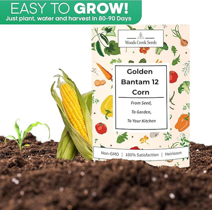 Golden Bantam 12 Sweet Corn Seeds for Planting – Heirloom Non-GMO Yellow Sweet Corn for Home Gardens | Woods Creek Seeds