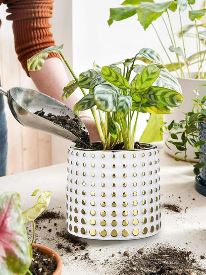 Ceramic Plant Pots Indoor, 5.7 Inch Planters for Indoor Plants Gold Polka Dots Flower Pots with Drainage Hole, Cylinder Round Planters, Gold and White