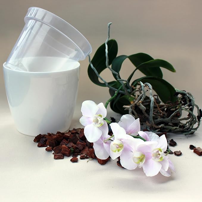 SMEREKA Orchid Pot Set with 6-Inch Clear Slotted Inner and Outer Pots and Premium Potting Mix for Healthy Indoor Orchid Repotting and Growth