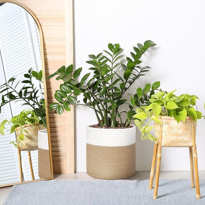 Plant Basket with Stand Indoor Planter Pot Holder Sturdy Jute Rope Modern Woven Basket, Cotton Rope Woven Pot with Bamboo Stand(White and Yellow,10 Inch)