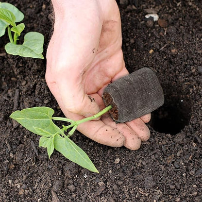 ZeeDix 500 Pcs (30mm) Peat Pellet Fiber Soil Plant Seed Starters - Seed Starter Pellets Pods Compressed Peat Pellets for Grow Herbs, Plant, Flowers and Vegetables