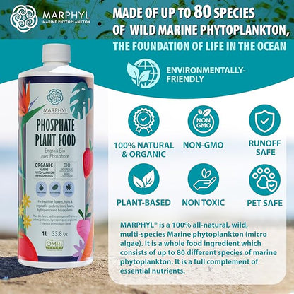 MARPHYL Organic Liquid Phosphate Soil Enhancer – Phosphorus Fertilizer for Root Development & Bloom Support, Ideal for Garden Flowers, Vegetables, Succulents & Hydroponics