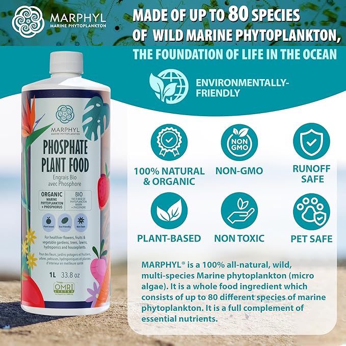 MARPHYL Organic Liquid Phosphate Soil Enhancer – Phosphorus Fertilizer for Root Development & Bloom Support, Ideal for Garden Flowers, Vegetables, Succulents & Hydroponics