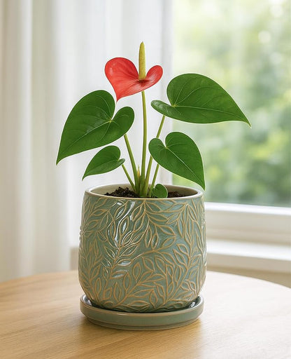 D'vine Dev 5 Inch Embossed Leaves Stoneware Planter Pot with Drainage Hole and Saucer, Olive, 27-A-V-0