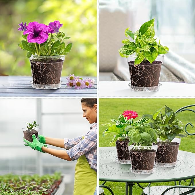 3 Inch Clear Nursery Pots, 60 Pack Highly Transparent Plastic Seedling Starter Planters with Drainage Holes and Trays for Flowers, Small Plant Pots for Indoor Plants