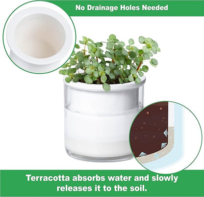Phoenix Vine 4 Inch Self Watering Planter Pot, Design White Terracotta Pots for Plants, Indoor Cylinder Terra Cotta Pots with Glass Vase, Set of 4, 51-B-E-4