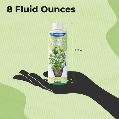 Liquid Blueberry Fertilizer by Perfect Plants | Berry Booster | Premium Fertilizer for Blueberries and Other Acidic Soil Fruiting Plants (8 fl oz)
