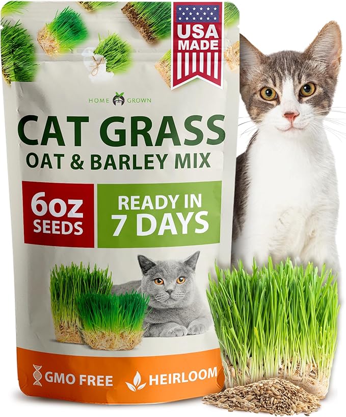 HOME GROWN Cat Grass Seeds 6 oz Heirloom Barley & Oat Mix, Refill for Indoor Cat Grass Growing Kit, Safe, Healthy, Green, for Cats, Pet Grass for Eating & Digestion