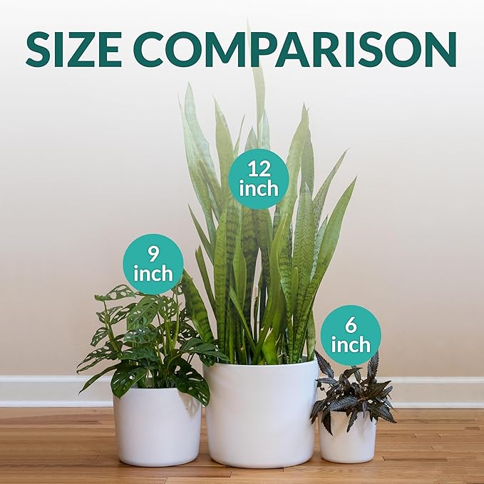 Willowy 6 Inch Ceramic Plant Pot (Matte White) - 6 Inch White Ceramic Planter, Pots for Plants, Planters for Indoor Plants, Plant Pot with Drainage