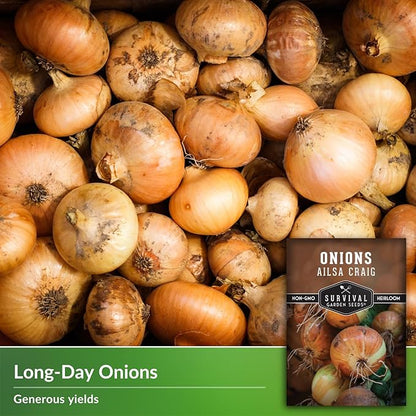 Ailsa Craig Onion Seeds for Planting – Long Day Yellow Sweet Onions with Jumbo Bulbs & Mild Flavor – Heirloom, Non-GMO, Open-Pollinated Variety – Survival Garden Seeds (1 Pack)