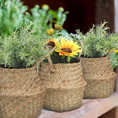 Qunclay 8 Pcs Woven Seagrass Baskets Belly Basket Folding Boho Natural Plant Pot with Handles Round Decorative Wicker Large Indoor Planter for Home Outdoor Tree Planters Decor (XXS,6.3''dx5.5''h)