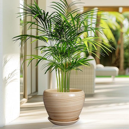Planter 8 Inch - Indoor/Outdoor Ceramic Plant Pot With Drainage Hole and Saucer, Round Modern Flower Planter for Succulents, House, Patio - Yellow