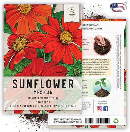 Seed Needs Mexican Sunflower Seeds for Planting Tithonia rotundifolia Flowers - Heirloom & Open Pollinated Flower Seed - Annual Wildflower to Plant a Butterfly Garden (1 Pack)