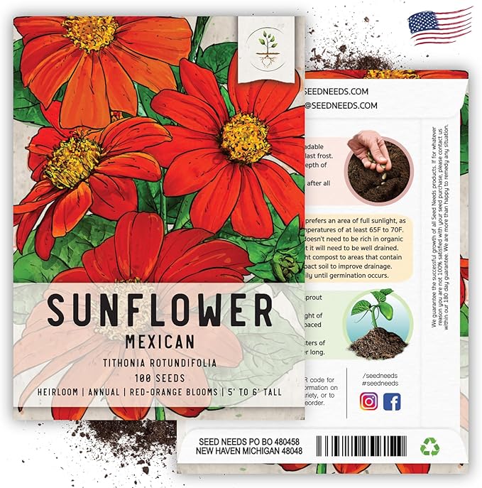 Seed Needs Mexican Sunflower Seeds for Planting Tithonia rotundifolia Flowers - Heirloom & Open Pollinated Flower Seed - Annual Wildflower to Plant a Butterfly Garden (5 Packs)