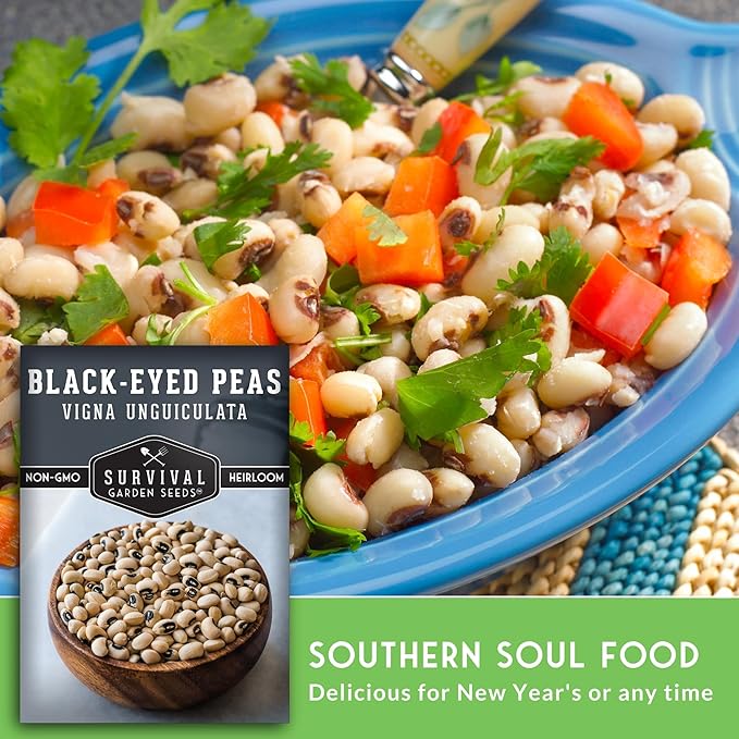 Black Eyed Pea Seeds for Planting - Heirloom Non-GMO Cowpea Variety - Drought Tolerant, High-Yield Southern Field Peas for Home Gardens and Food Independence - Survival Garden Seeds (1 Pack)