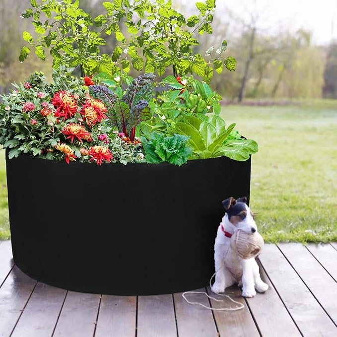 Firlar 2 Pcs 100 Gallon Round Plant Grow Bags,Raised Garden Bed,Planting Container Grow Bags Felt Fabric Plant Pot for Plants,Vegetables,Flowers,Black