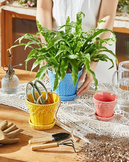 Succulent Ceramic Pots, 3.8 Inch Small Plant Pots with Drainage Hole & Saucer, Flower Planter Pot for House Plants Cacti, Home Decor, Set of 4, Assorted Colors
