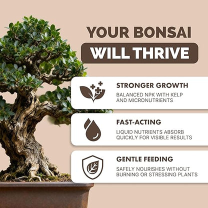 Bonsai Fertilizer for All Bonsai Trees, Great for Root Soaks, Liquid Plant Food 1 Gallon (128 oz)