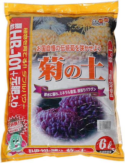 Chrysanthemum Potting Soil Mix