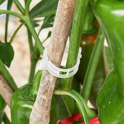 100 Pcs Plant Support Clips,Plastic Clips for Securing Plants,Tomato Vine Clips,Plant Fixing Clips,Garden Clips for Climbing Plants,Grape and Vine Vegetables (100, White)
