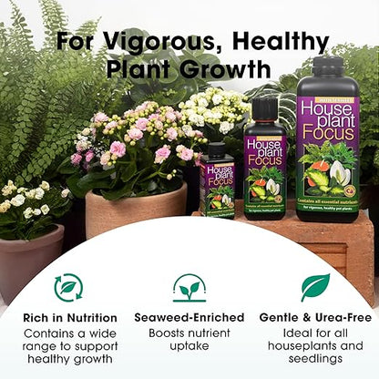 Potted Plant Focus Liquid Concentrated Fertilizer 100ml