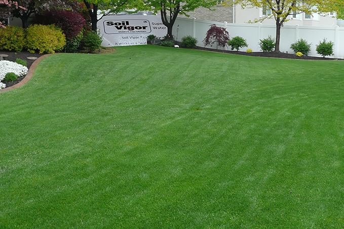Super Absorbent Polymer Helps Plant Growth and Plant Establishment (10 Pounds)