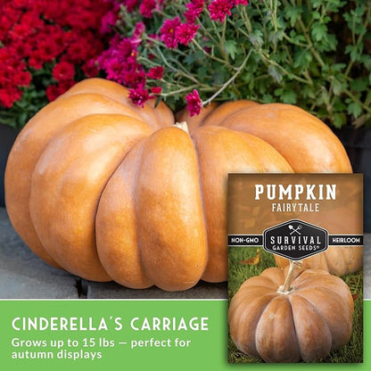Fairytale Pumpkin Seeds for Planting | Musquée de Provence Heirloom Cucurbita Moschata - Sweet Flavor Pumpkins for Storage, Pies, Soups, Fall Décor - Survival Garden Seeds (5 Packs)