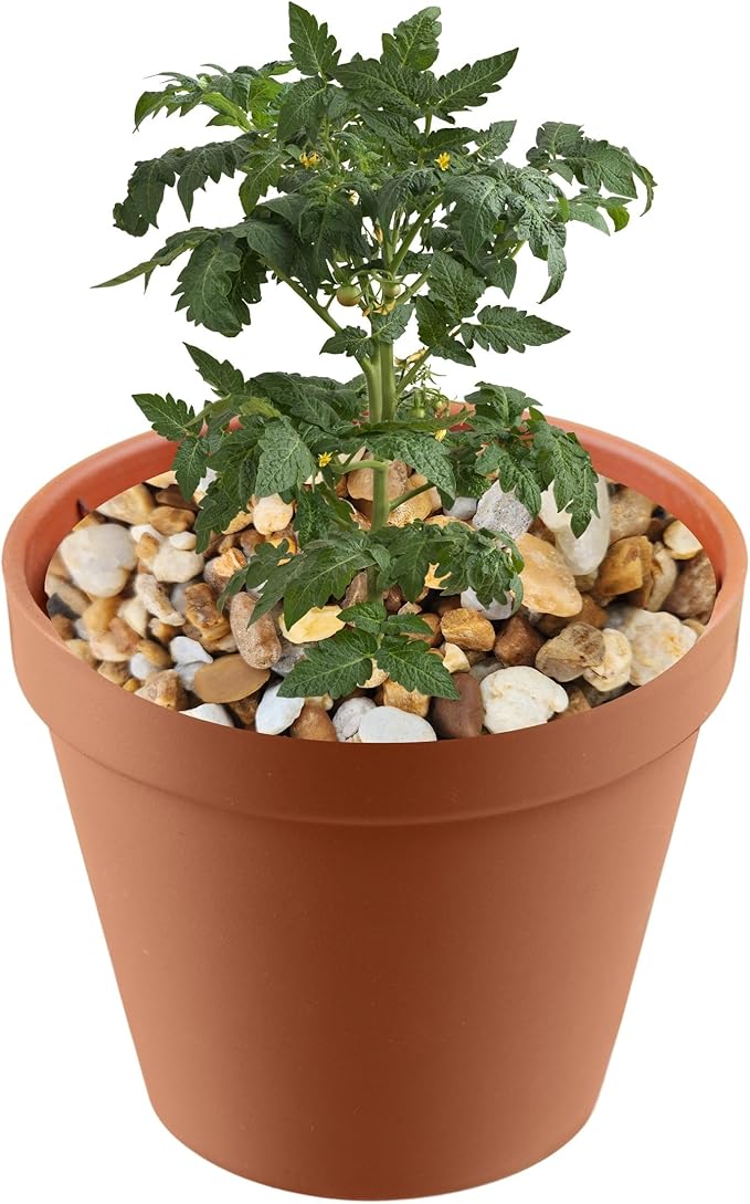 Versatile River Rocks & Garden Stones for Outdoor Landscaping - Ideal Decorative Rocks for Plants Indoor & Outdoor, River Rock Pebbles, Landscaping Stones. Half-Quart