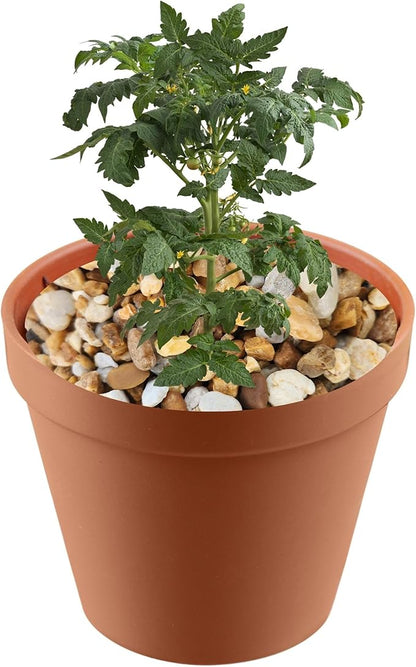 Versatile River Rocks & Garden Stones for Outdoor Landscaping - Ideal Decorative Rocks for Plants Indoor & Outdoor, River Rock Pebbles, Landscaping Stones. 2 Quarts