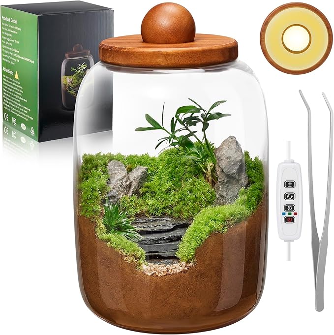 Desktop Glass Terrarium with Time-Controlled Grow Light, H 8.6IN x D 6.3IN Plant Propagation Station and Air Planter for Office and Home