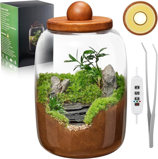 Desktop Glass Terrarium with Time-Controlled Grow Light, H 8.6IN x D 6.3IN Plant Propagation Station and Air Planter for Office and Home