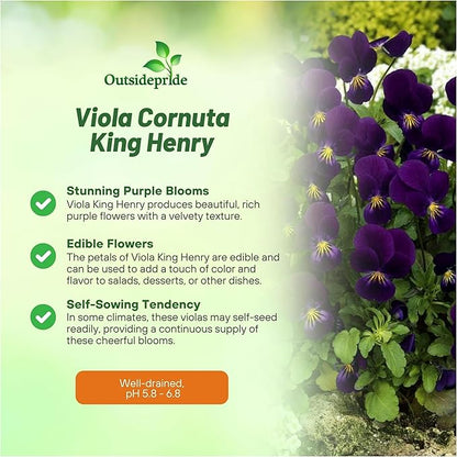 Outsidepride King Henry Viola Pansy Seeds for Planting - 1000 Pcs. Perennial, Cold-Hardy & Pollinator Friendly Flowers with Fragrant Blooms for Garden Beds, Borders & Container Displays