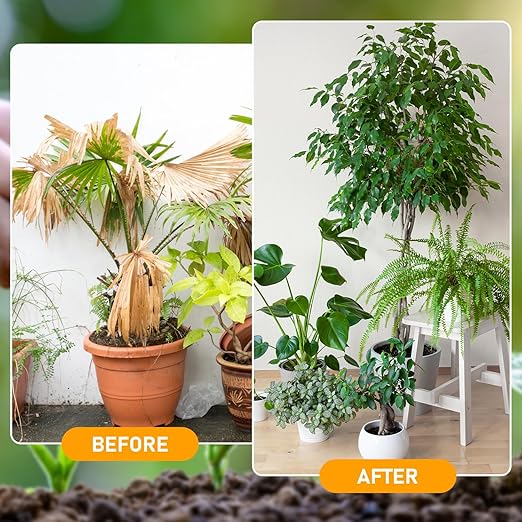 2Pcs Soil Activators, Organic Soil Activators and Plant Fertilizers, Soil Pro Activator, Water-Soluble Formula for Optimal Nutrient Uptake, Promoting Plant Rooting 120g