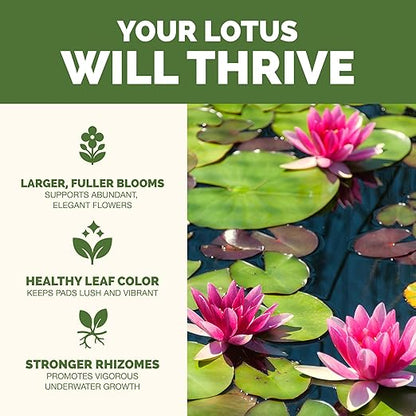 Lotus Fertilizer, Complete Lotus Plant Food, 8 oz (250mL)