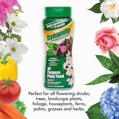 Dynamite 2 lb All Purpose 9 Month Plant Food