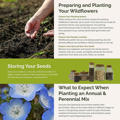 Eden Brothers Singin the Blues Wildflower Mixed Seeds for Planting, 1/4 lb, 120,000+ Seeds with Blue Flax, Lupine, Chicory, Attracts Pollinators, Plant in Spring or Fall, Zones 3, 4, 5, 6, 7, 8, 9, 10