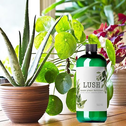 Lush Houseplant Fertilizer – Concentrated Liquid Plant Food (Makes 50+ Gallons) – 3-1-2 NPK for Indoor Plants, Monstera, Pothos & More - 500ml Concentrate