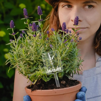 Whaline 24Pcs Acrylic Plant Label Signs 12 Styles Planted Herb Garden Markers Transparent Waterproof Plant Stake Tags with Herb Names for Nursery Indoor Outdoor Garden Decoration