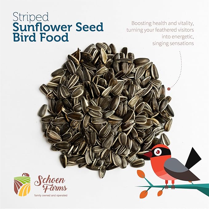 Schoen Farms Striped Sunflower Seeds – Shelled & Hulled Bird Food – 10 lb Bag – Premium Wild Bird Seed for Cardinals, Jays & Finches