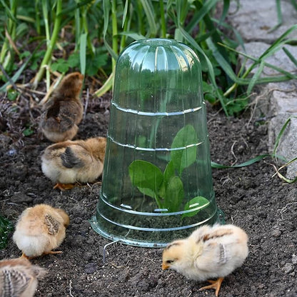 10 Pack Garden Cloches for Plants, Reusable Bell Plant Protector, Garden Protection from Animals Snails Birds Chickens Insect, 9.85" H X 7.3" D (Green)
